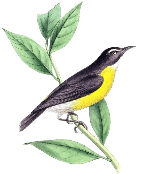 fb6ae85c09924842d5a1c6f821100b8f602aacb6