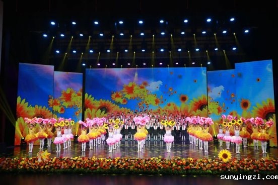 65bc9b5b6c5d2b9672d7b2ee552734205616e536