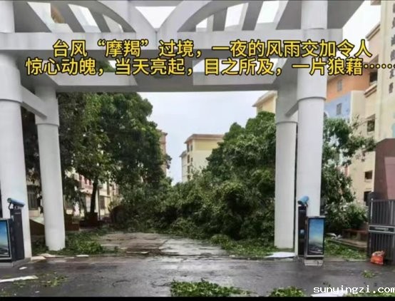 de9063f0990999358700770a083f1f31b4f3a0e7